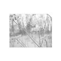 Picture of Branching off _GroupedProduct_Rectangle_Landscape_Photography _GroupedProduct_Rectangle_Landscape_Unframed_Print_Only_
