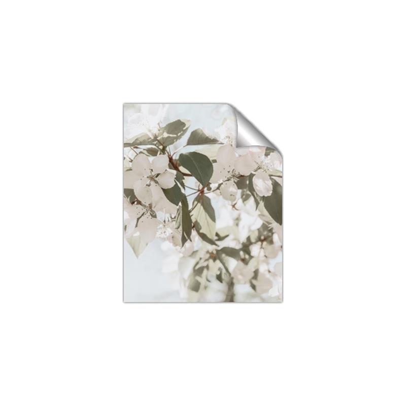 Picture of Leafy Light _GroupedProduct_Rectangle_Portrait_Photography _GroupedProduct_Rectangle_Portrait_Unframed_Print_Only_