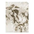 Picture of Leafy Light _GroupedProduct_Rectangle_Portrait_Photography _GroupedProduct_Rectangle_Portrait_Unframed_Print_Only_