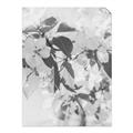 Picture of Leafy Light _GroupedProduct_Rectangle_Portrait_Photography _GroupedProduct_Rectangle_Portrait_Unframed_Print_Only_