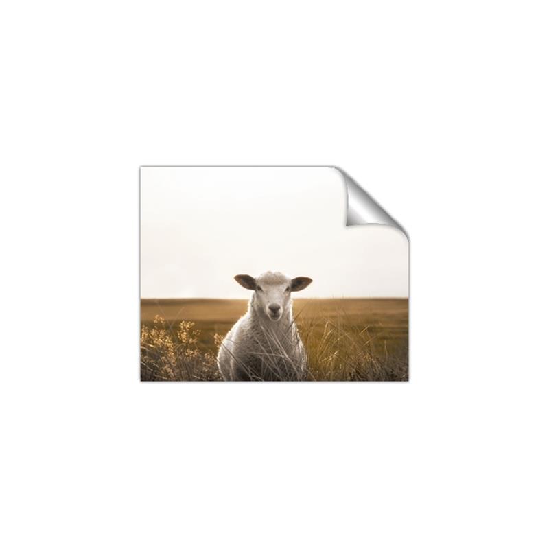 Picture of One and Only _GroupedProduct_Rectangle_Landscape_Photography _GroupedProduct_Rectangle_Landscape_Unframed_Print_Only_