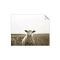 Picture of One and Only _GroupedProduct_Rectangle_Landscape_Photography _GroupedProduct_Rectangle_Landscape_Unframed_Print_Only_