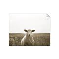 Picture of One and Only _GroupedProduct_Rectangle_Landscape_Photography _GroupedProduct_Rectangle_Landscape_Unframed_Print_Only_