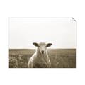 Picture of One and Only _GroupedProduct_Rectangle_Landscape_Photography _GroupedProduct_Rectangle_Landscape_Unframed_Print_Only_