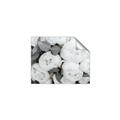 Picture of White Blooms _GroupedProduct_Rectangle_Landscape_Photography _GroupedProduct_Rectangle_Landscape_Unframed_Print_Only_