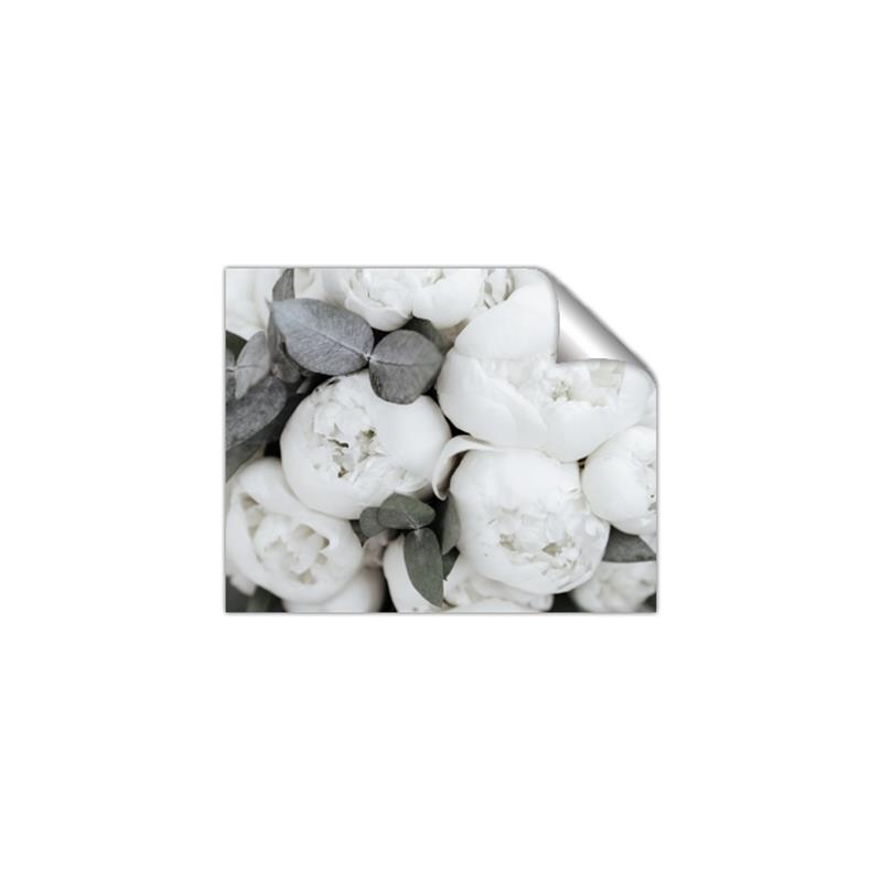 Picture of White Blooms _GroupedProduct_Rectangle_Landscape_Photography _GroupedProduct_Rectangle_Landscape_Unframed_Print_Only_