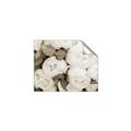 Picture of White Blooms _GroupedProduct_Rectangle_Landscape_Photography _GroupedProduct_Rectangle_Landscape_Unframed_Print_Only_