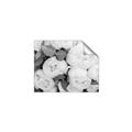 Picture of White Blooms _GroupedProduct_Rectangle_Landscape_Photography _GroupedProduct_Rectangle_Landscape_Unframed_Print_Only_