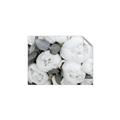 Picture of White Blooms _GroupedProduct_Rectangle_Landscape_Photography _GroupedProduct_Rectangle_Landscape_Unframed_Print_Only_