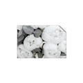 Picture of White Blooms _GroupedProduct_Rectangle_Landscape_Photography _GroupedProduct_Rectangle_Landscape_Unframed_Print_Only_
