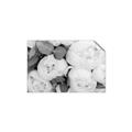 Picture of White Blooms _GroupedProduct_Rectangle_Landscape_Photography _GroupedProduct_Rectangle_Landscape_Unframed_Print_Only_