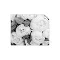 Picture of White Blooms _GroupedProduct_Rectangle_Landscape_Photography _GroupedProduct_Rectangle_Landscape_Unframed_Print_Only_