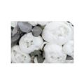 Picture of White Blooms _GroupedProduct_Rectangle_Landscape_Photography _GroupedProduct_Rectangle_Landscape_Unframed_Print_Only_