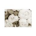 Picture of White Blooms _GroupedProduct_Rectangle_Landscape_Photography _GroupedProduct_Rectangle_Landscape_Unframed_Print_Only_