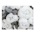 Picture of White Blooms _GroupedProduct_Rectangle_Landscape_Photography _GroupedProduct_Rectangle_Landscape_Unframed_Print_Only_
