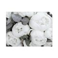 Picture of White Blooms _GroupedProduct_Rectangle_Landscape_Photography _GroupedProduct_Rectangle_Landscape_Unframed_Print_Only_