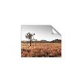 Picture of One Tree _GroupedProduct_Rectangle_Landscape_Photography _GroupedProduct_Rectangle_Landscape_Unframed_Print_Only_