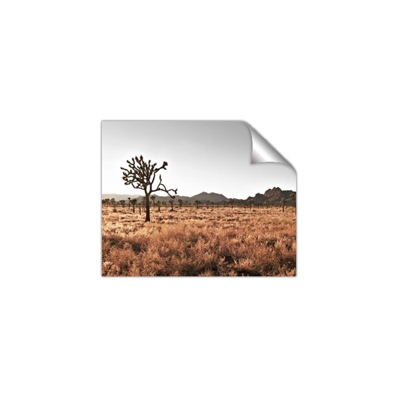 Picture of One Tree _GroupedProduct_Rectangle_Landscape_Photography _GroupedProduct_Rectangle_Landscape_Unframed_Print_Only_