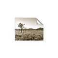 Picture of One Tree _GroupedProduct_Rectangle_Landscape_Photography _GroupedProduct_Rectangle_Landscape_Unframed_Print_Only_