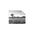 Picture of One Tree _GroupedProduct_Rectangle_Landscape_Photography _GroupedProduct_Rectangle_Landscape_Unframed_Print_Only_