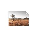 Picture of One Tree _GroupedProduct_Rectangle_Landscape_Photography _GroupedProduct_Rectangle_Landscape_Unframed_Print_Only_