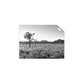 Picture of One Tree _GroupedProduct_Rectangle_Landscape_Photography _GroupedProduct_Rectangle_Landscape_Unframed_Print_Only_