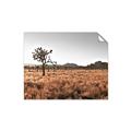 Picture of One Tree _GroupedProduct_Rectangle_Landscape_Photography _GroupedProduct_Rectangle_Landscape_Unframed_Print_Only_