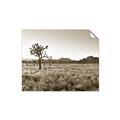 Picture of One Tree _GroupedProduct_Rectangle_Landscape_Photography _GroupedProduct_Rectangle_Landscape_Unframed_Print_Only_