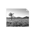 Picture of One Tree _GroupedProduct_Rectangle_Landscape_Photography _GroupedProduct_Rectangle_Landscape_Unframed_Print_Only_