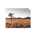 Picture of One Tree _GroupedProduct_Rectangle_Landscape_Photography _GroupedProduct_Rectangle_Landscape_Unframed_Print_Only_