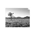 Picture of One Tree _GroupedProduct_Rectangle_Landscape_Photography _GroupedProduct_Rectangle_Landscape_Unframed_Print_Only_