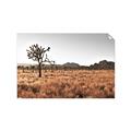 Picture of One Tree _GroupedProduct_Rectangle_Landscape_Photography _GroupedProduct_Rectangle_Landscape_Unframed_Print_Only_