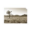 Picture of One Tree _GroupedProduct_Rectangle_Landscape_Photography _GroupedProduct_Rectangle_Landscape_Unframed_Print_Only_