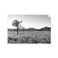 Picture of One Tree _GroupedProduct_Rectangle_Landscape_Photography _GroupedProduct_Rectangle_Landscape_Unframed_Print_Only_