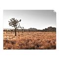 Picture of One Tree _GroupedProduct_Rectangle_Landscape_Photography _GroupedProduct_Rectangle_Landscape_Unframed_Print_Only_