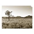 Picture of One Tree _GroupedProduct_Rectangle_Landscape_Photography _GroupedProduct_Rectangle_Landscape_Unframed_Print_Only_