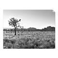 Picture of One Tree _GroupedProduct_Rectangle_Landscape_Photography _GroupedProduct_Rectangle_Landscape_Unframed_Print_Only_