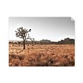 Picture of One Tree _GroupedProduct_Rectangle_Landscape_Photography _GroupedProduct_Rectangle_Landscape_Unframed_Print_Only_