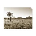 Picture of One Tree _GroupedProduct_Rectangle_Landscape_Photography _GroupedProduct_Rectangle_Landscape_Unframed_Print_Only_