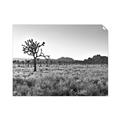 Picture of One Tree _GroupedProduct_Rectangle_Landscape_Photography _GroupedProduct_Rectangle_Landscape_Unframed_Print_Only_