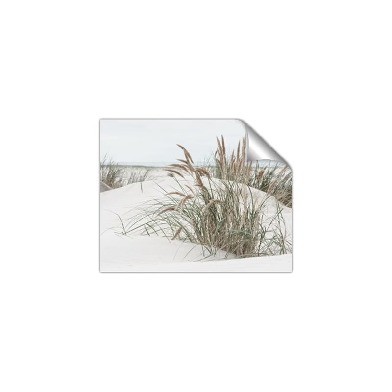 Picture of Sand Dunes _GroupedProduct_Rectangle_Landscape_Photography _GroupedProduct_Rectangle_Landscape_Unframed_Print_Only_