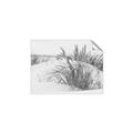 Picture of Sand Dunes _GroupedProduct_Rectangle_Landscape_Photography _GroupedProduct_Rectangle_Landscape_Unframed_Print_Only_