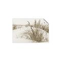 Picture of Sand Dunes _GroupedProduct_Rectangle_Landscape_Photography _GroupedProduct_Rectangle_Landscape_Unframed_Print_Only_