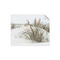 Picture of Sand Dunes _GroupedProduct_Rectangle_Landscape_Photography _GroupedProduct_Rectangle_Landscape_Unframed_Print_Only_