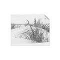 Picture of Sand Dunes _GroupedProduct_Rectangle_Landscape_Photography _GroupedProduct_Rectangle_Landscape_Unframed_Print_Only_