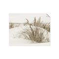 Picture of Sand Dunes _GroupedProduct_Rectangle_Landscape_Photography _GroupedProduct_Rectangle_Landscape_Unframed_Print_Only_