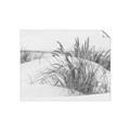 Picture of Sand Dunes _GroupedProduct_Rectangle_Landscape_Photography _GroupedProduct_Rectangle_Landscape_Unframed_Print_Only_