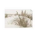 Picture of Sand Dunes _GroupedProduct_Rectangle_Landscape_Photography _GroupedProduct_Rectangle_Landscape_Unframed_Print_Only_