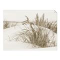 Picture of Sand Dunes _GroupedProduct_Rectangle_Landscape_Photography _GroupedProduct_Rectangle_Landscape_Unframed_Print_Only_