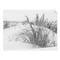 Picture of Sand Dunes _GroupedProduct_Rectangle_Landscape_Photography _GroupedProduct_Rectangle_Landscape_Unframed_Print_Only_